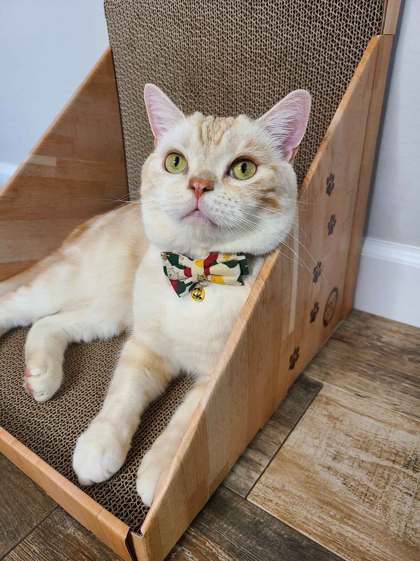 Stretch & Scratch Wall Cat Scratcher