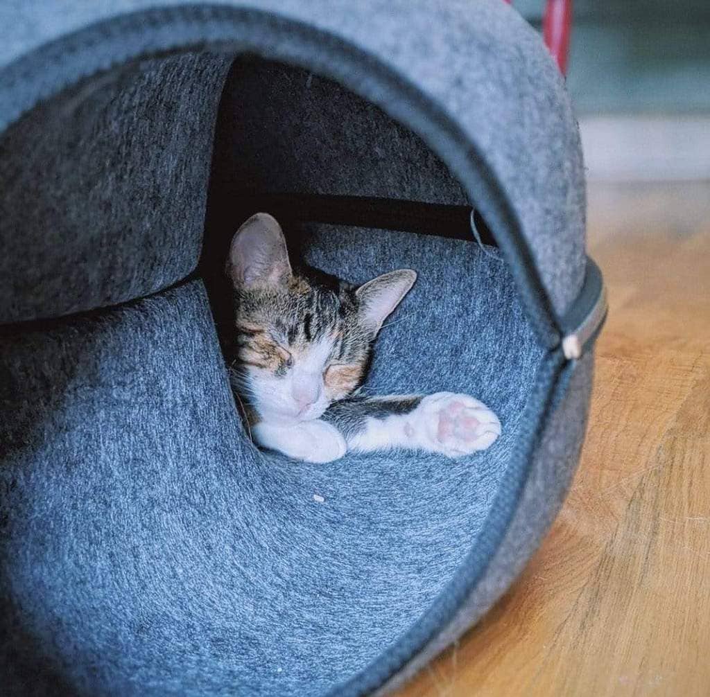 "Donut!" Cat Hideaway Cave & Bed - Cozy Chic Pet Bed