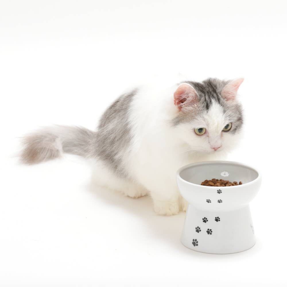 Raised Cat Food Bowl Large (Cat)