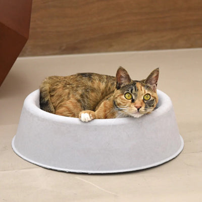 Cozy on Mat - Gray