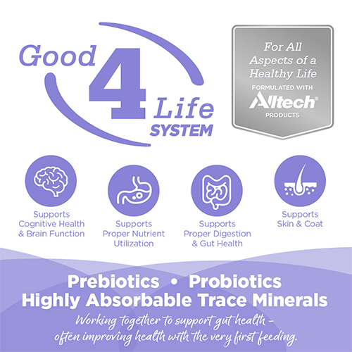 NutriSource® Grain Free Chicken & Salmon Select Wet Cat Food