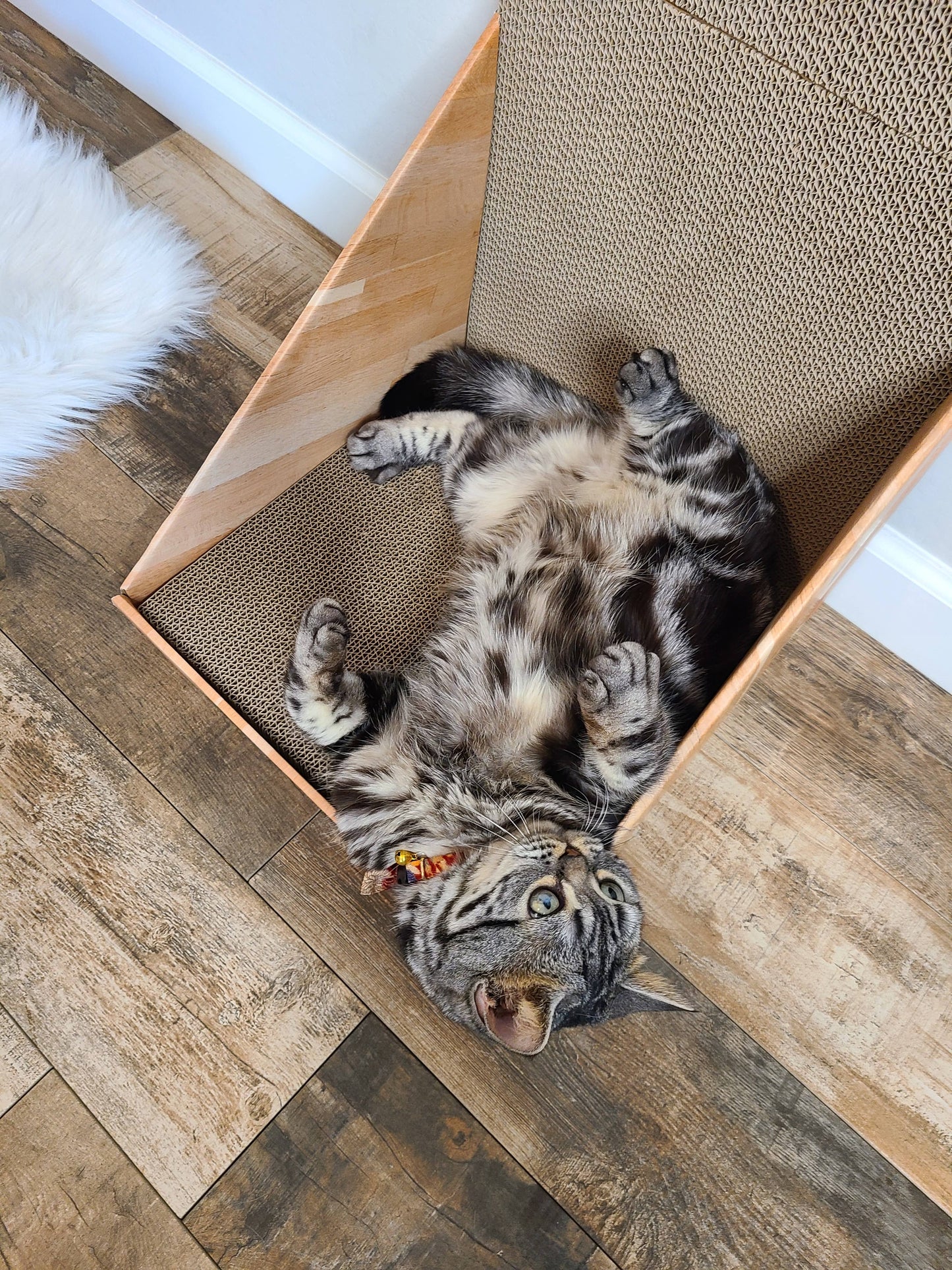 Stretch & Scratch Wall Cat Scratcher