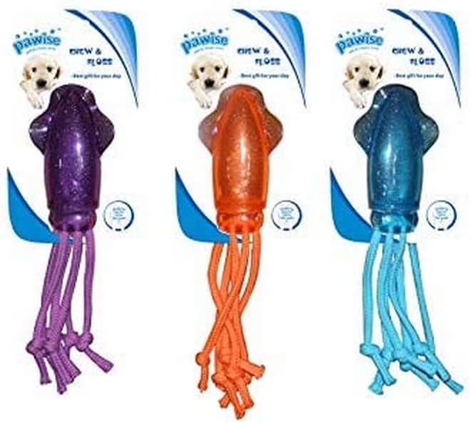 PAWISE Squid