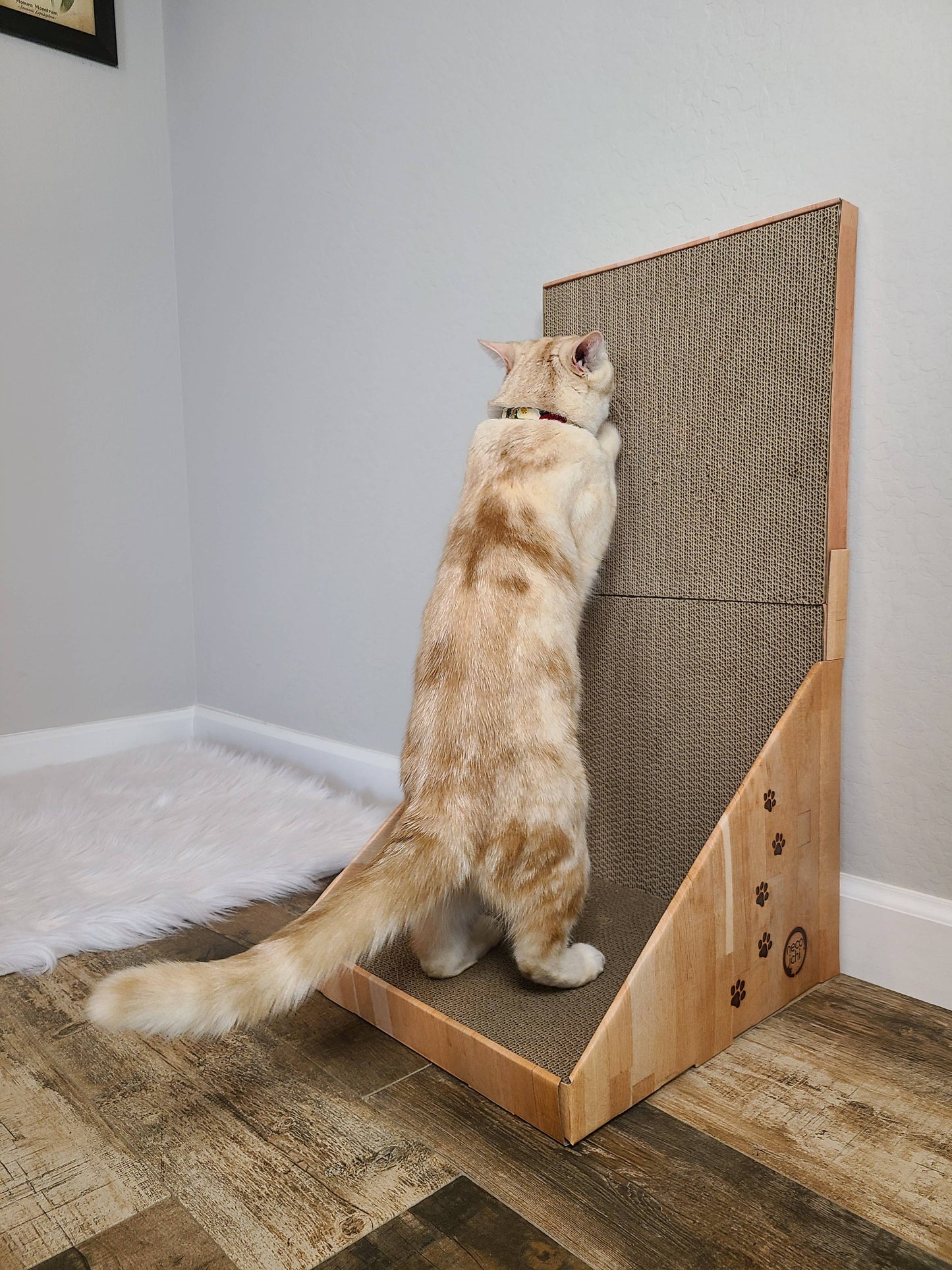 Stretch & Scratch Wall Cat Scratcher