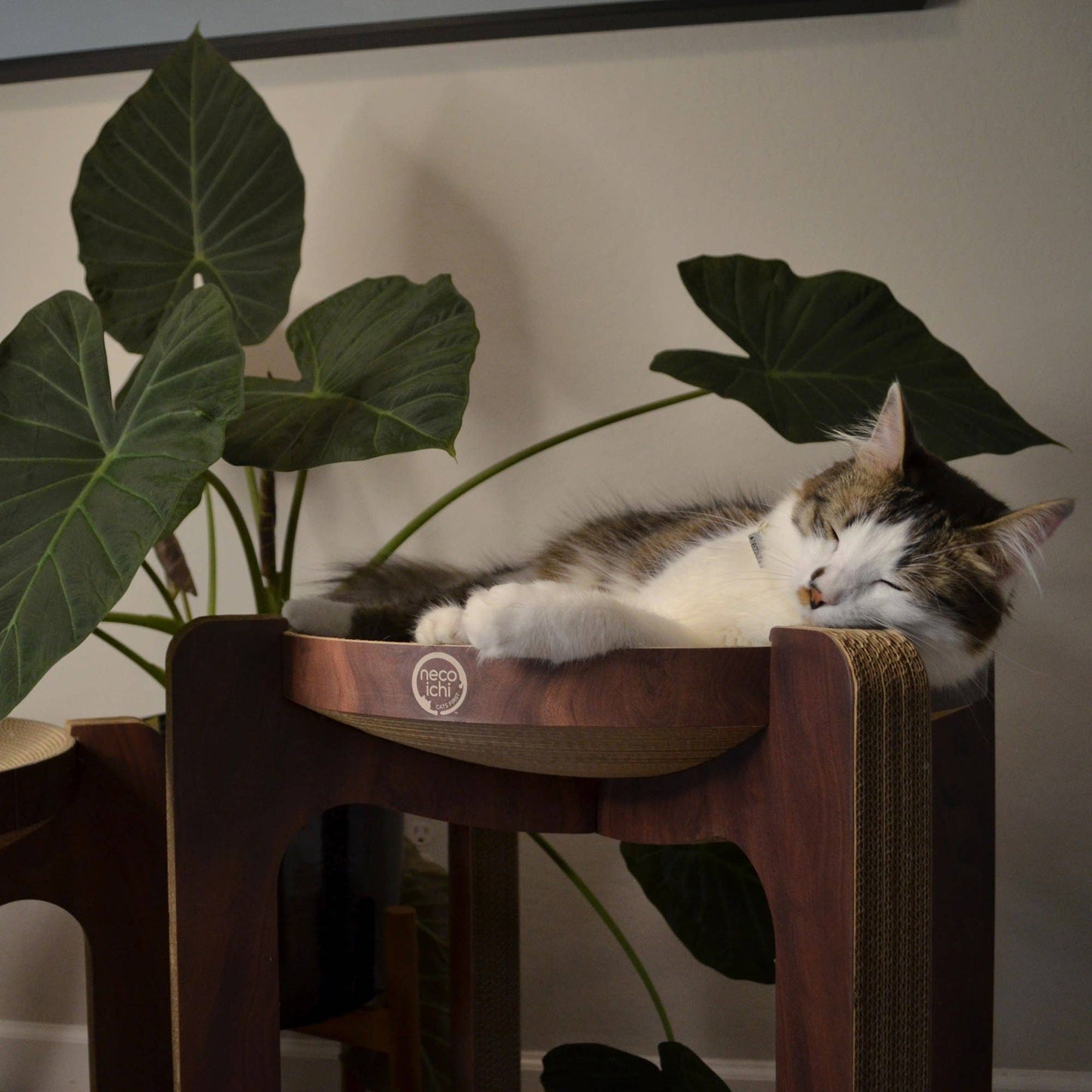 Cozy Cat Scratcher Tower XL (Dark Cherry)