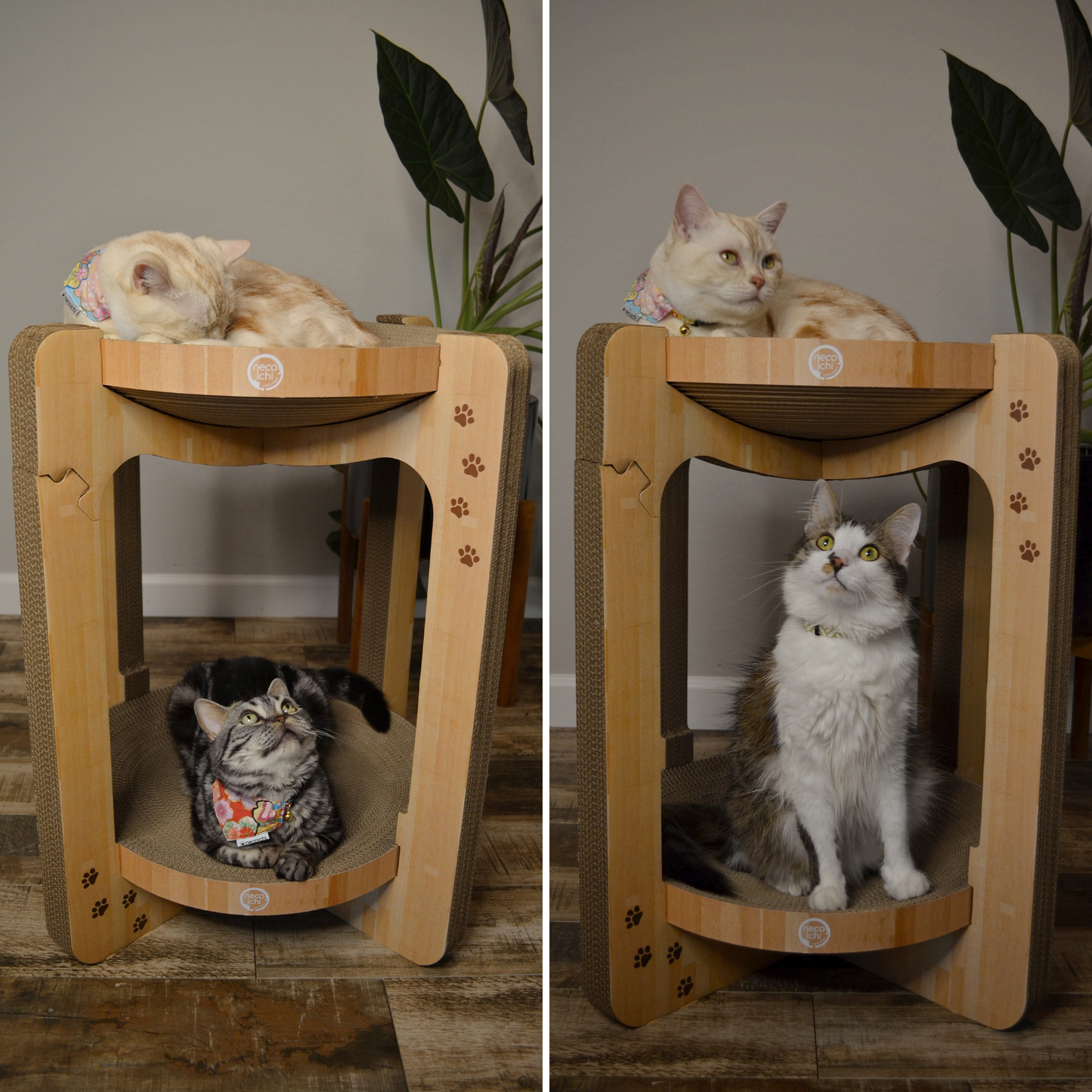Cozy Cat Scratcher Tower XL (Oak)