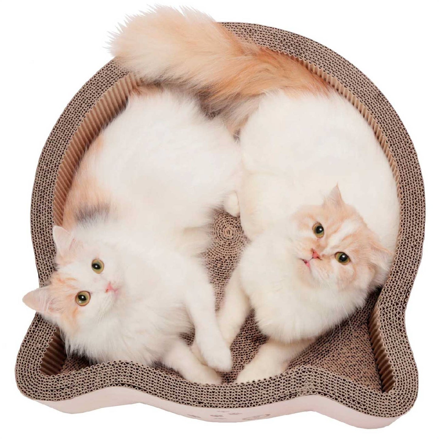 Cat-headed Scratcher Bed Large (Birch)