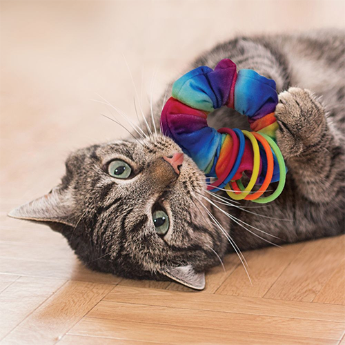 ACTIVE CAT SCRUNCHIE CAT TOY