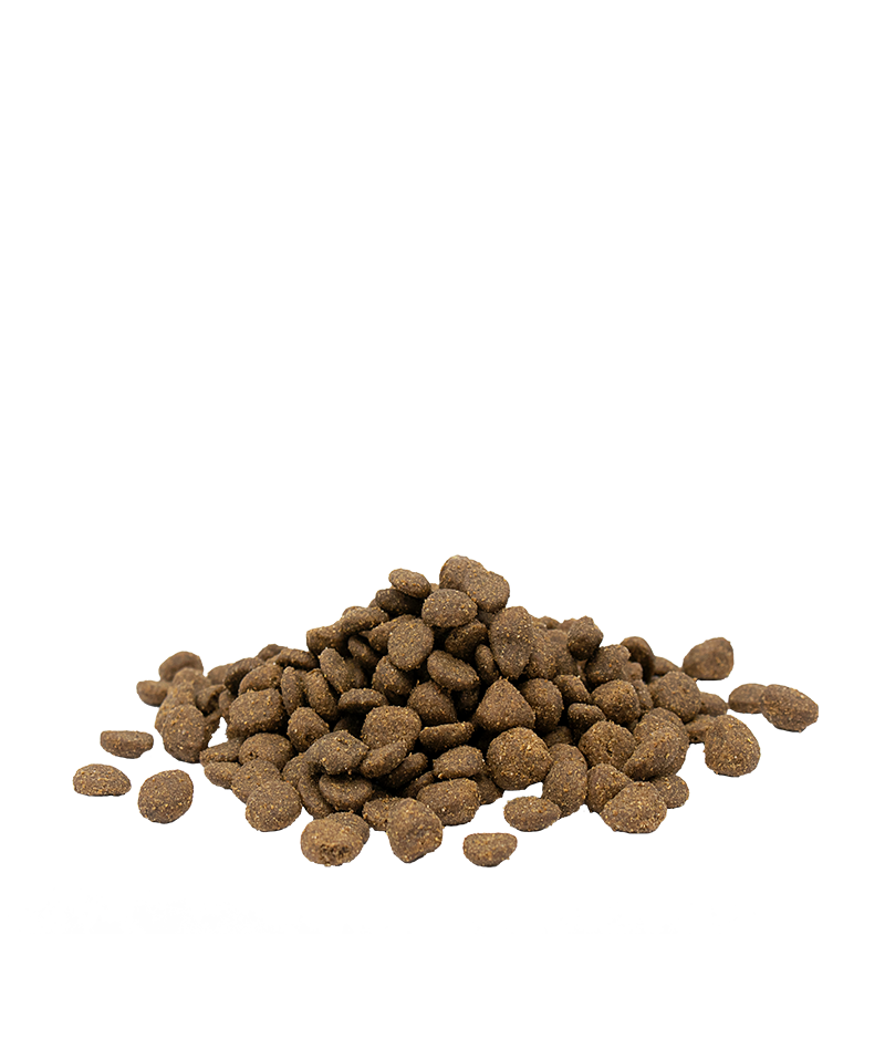 Opti-Life Adult Sensitive Salmon Dry Food