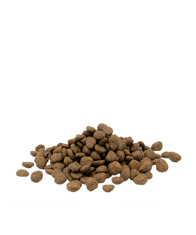 Opti-Life Adult Sensitive Salmon Dry Food