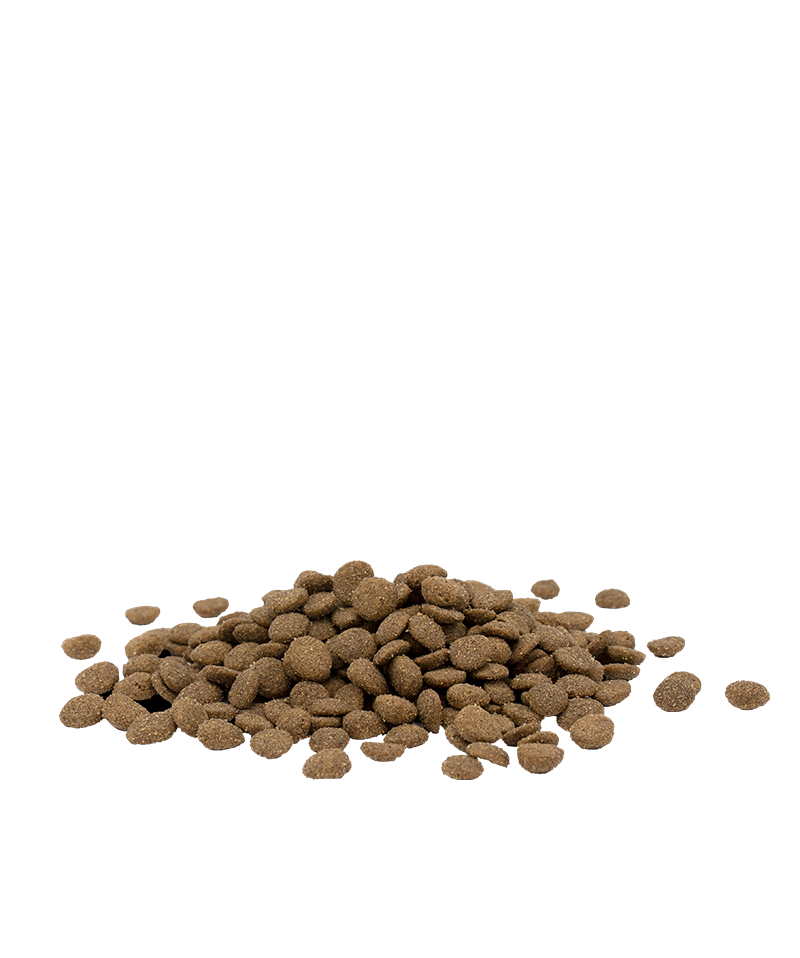 Opti-Life Adult Sterilised Chicken Dry Food