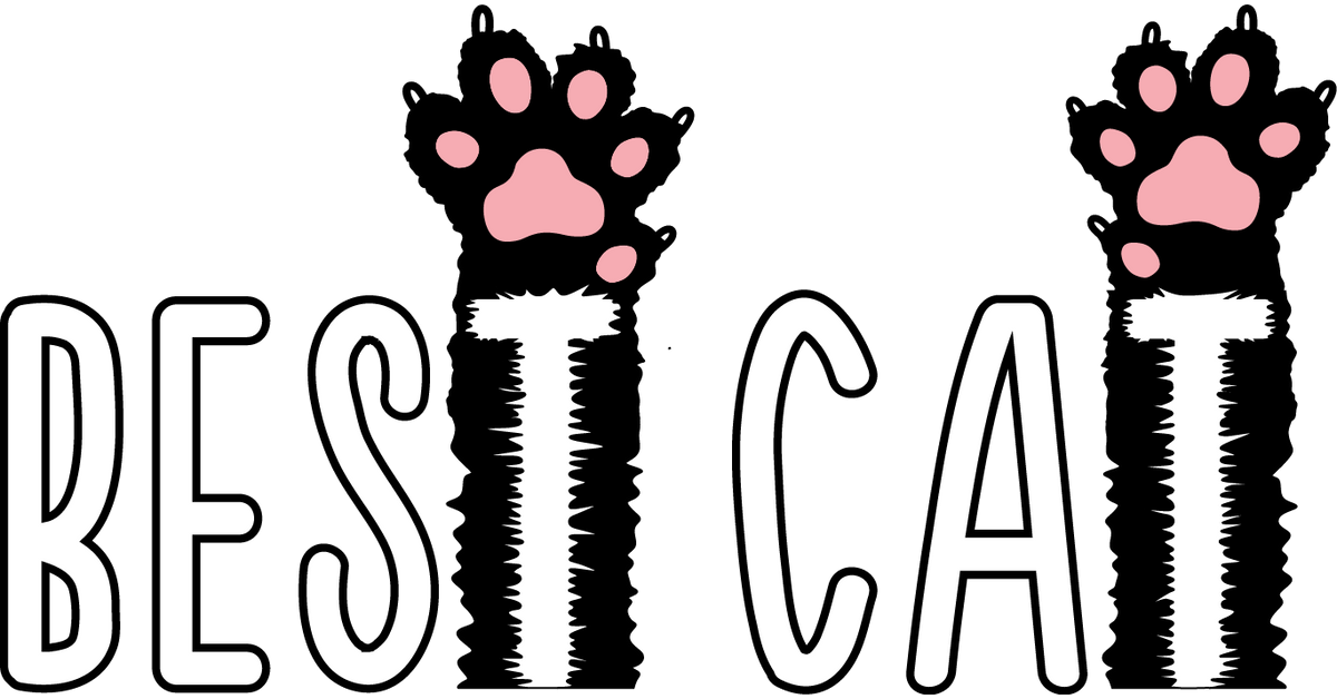 Canada s Cat Store Best Cat