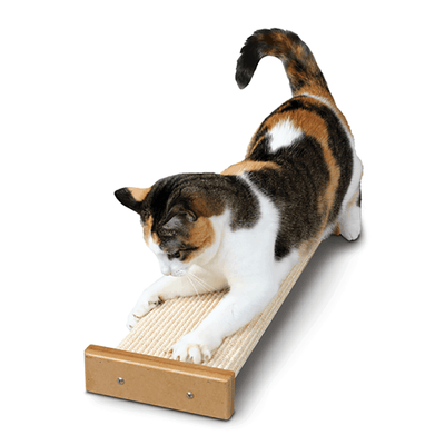 Bootsie's Scratcher