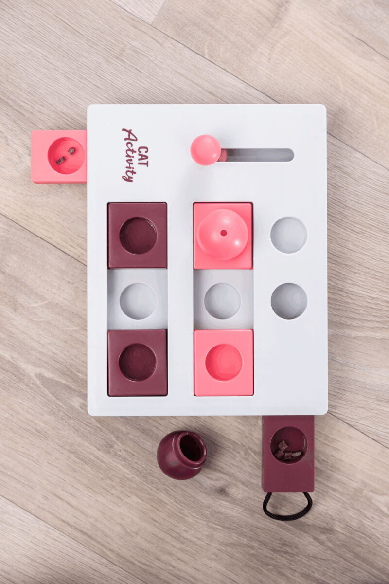 Brain Mover Strategy Game