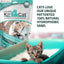 CheckUP KIT4CAT CAT Urine Sample Testing 2LB