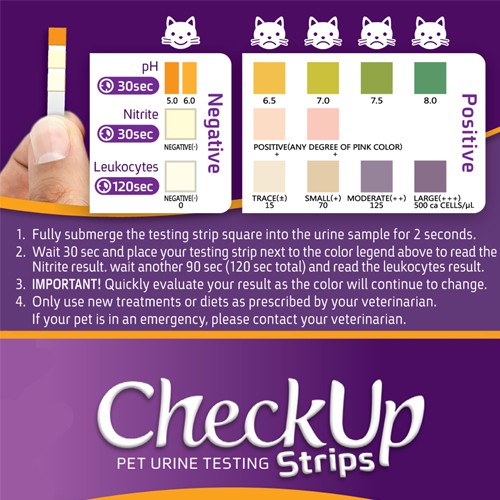 CheckUP UTI DETECTION Strips (50 STRIPS)