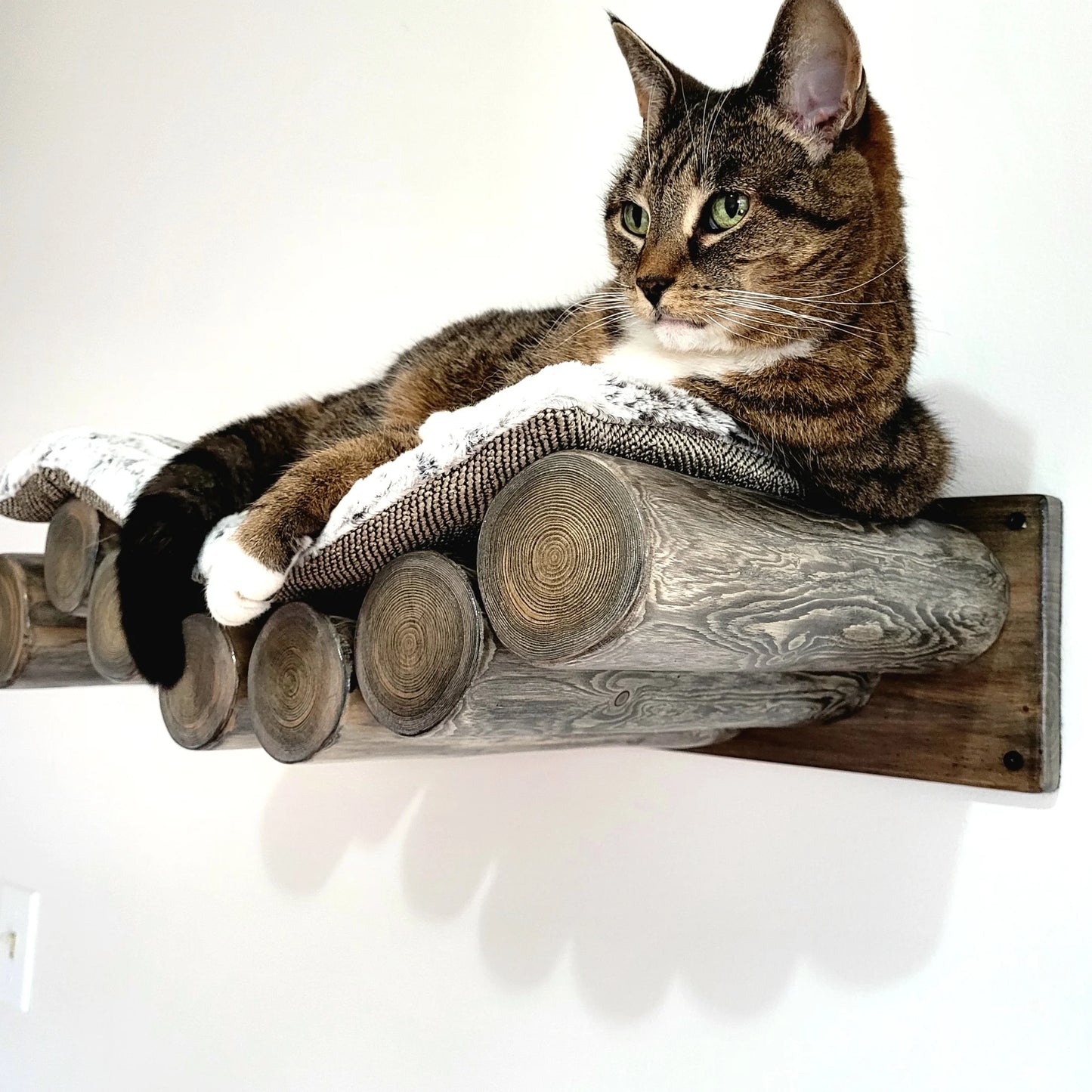 Black Log Cat Bed - Wall Mounted