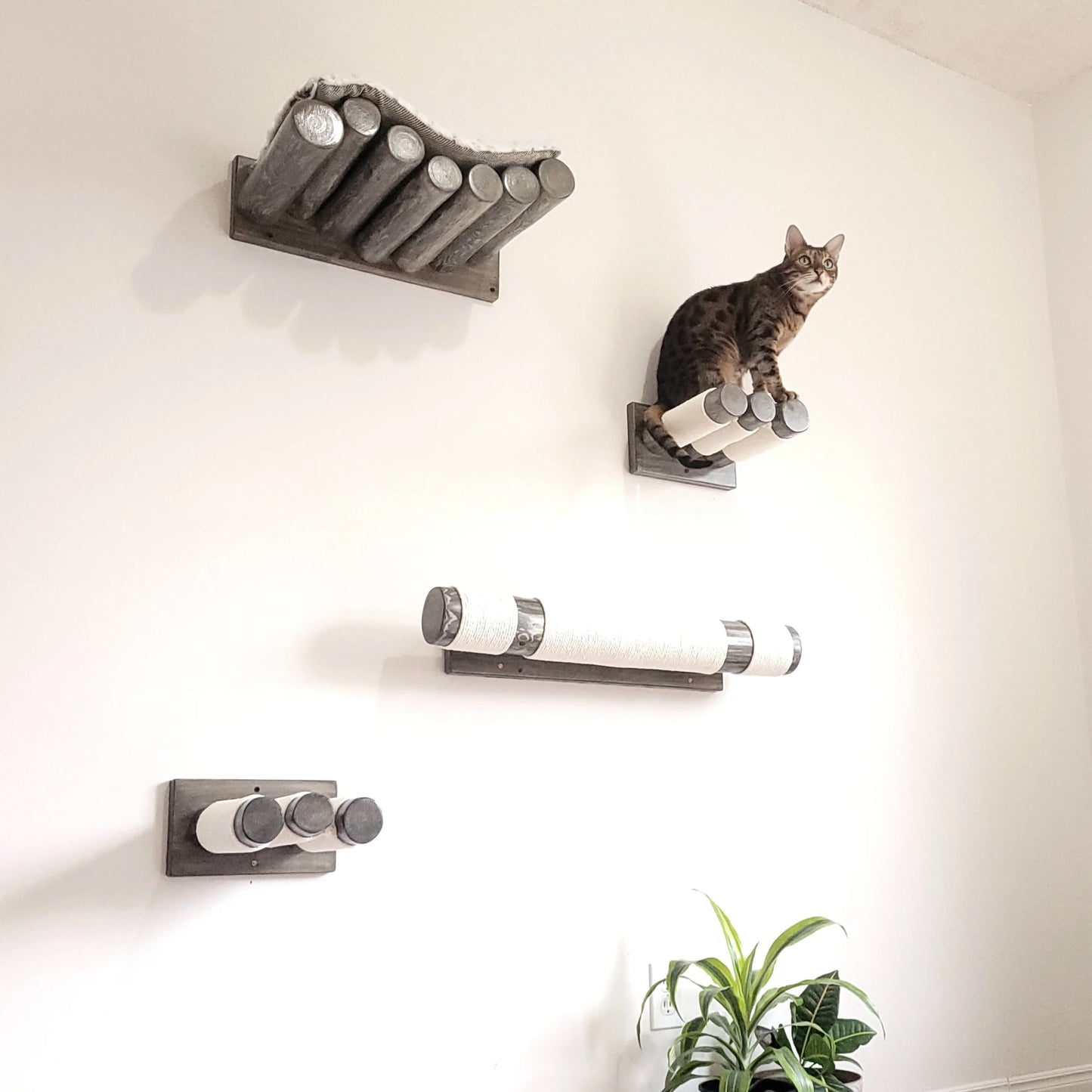 Black Cat Perch - Wall Mounted