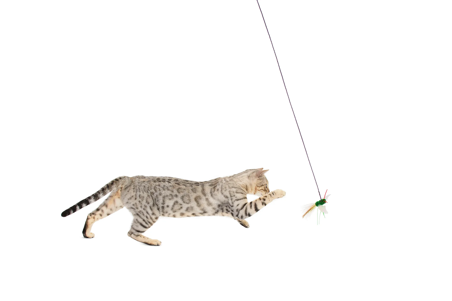 BugzBird Attachment!