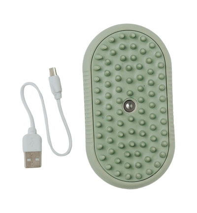 Dexypaws Perfect Fur Spritz & Brush Pet Curry Comb For Pets