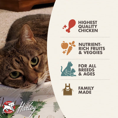 FROMM FOUR STAR Nutritionals CHICKEN AU FROMMAGE Dry Cat Food 4 LB