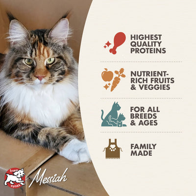 FROMM FOUR STAR Nutritionals Bird Dry Cat Food 4 LB