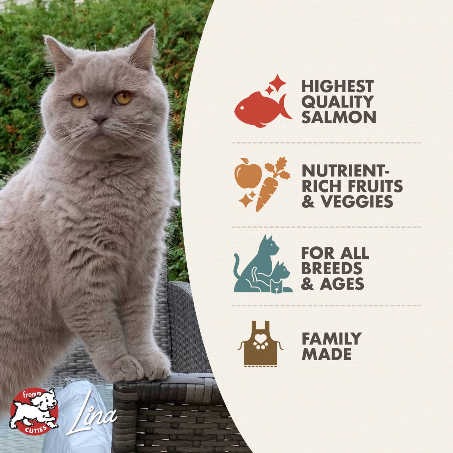 FROMM FOUR STAR Nutritionals Salmon Tunachovy Dry Cat Food 4 LB