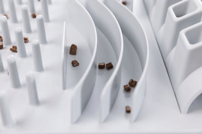 Fun Board Strategy Game