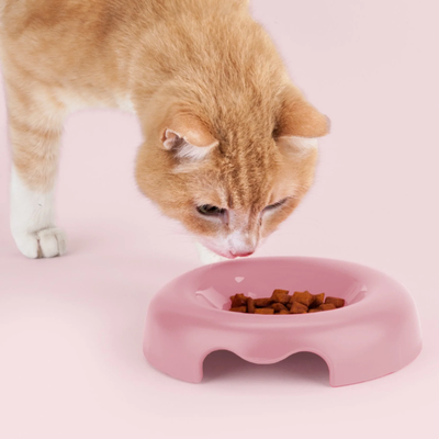 Kitty - Cat/Dog Bowl Pink