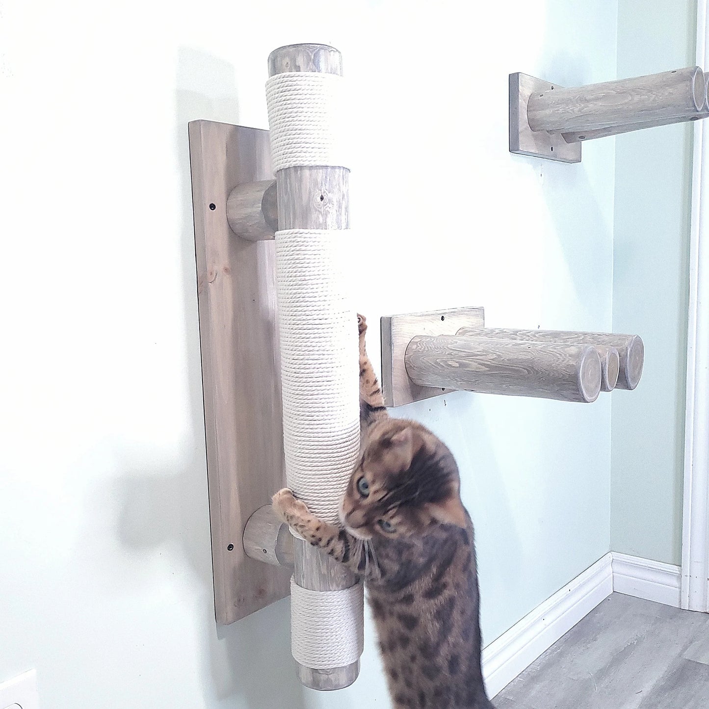 Grey Scratch Post - Wall Mounted