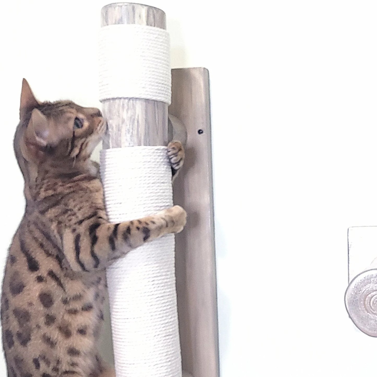 Grey Scratch Post - Wall Mounted