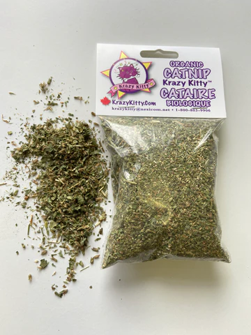 Catnip