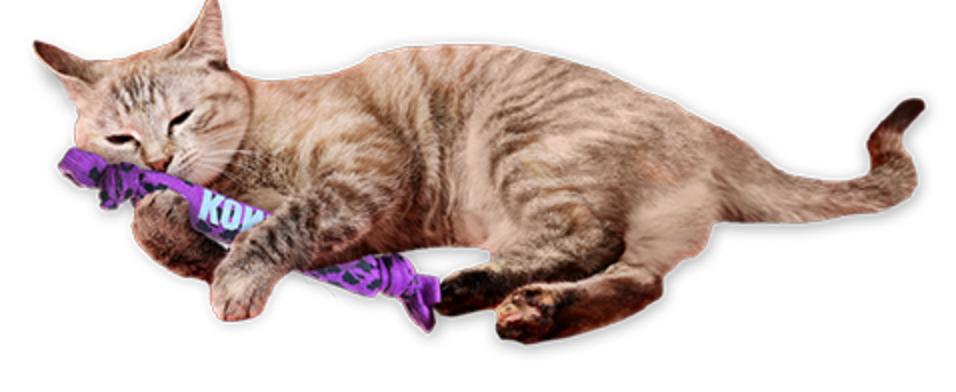 KICKEROO CRUNCH CAT TOY