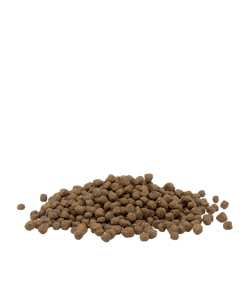 Opti-Life Kitten Chicken Dry Food