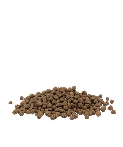 Opti-Life Kitten Chicken Dry Food