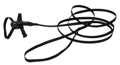 Li'l Pals Adjustable Kitten Harness And Leash Combo (Style Variation)