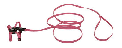 Li'l Pals Adjustable Kitten Harness And Leash Combo (Style Variation)