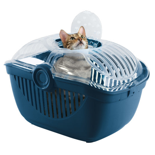 Moderna Top Road Runner