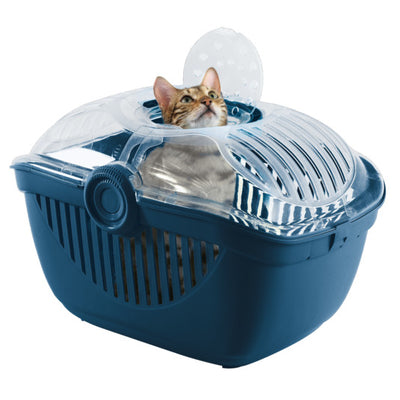 Moderna Top Road Runner