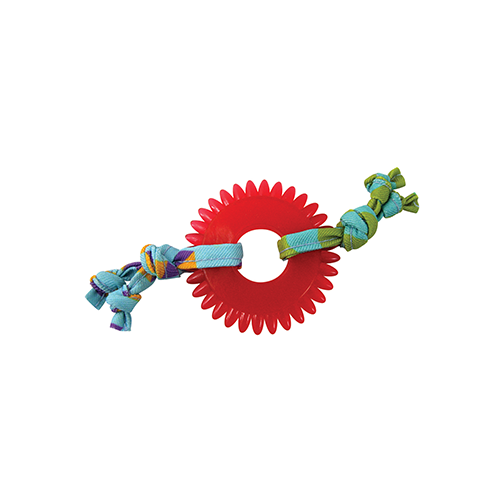 CATSTAGES® KITTY CHEW WHEEL CAT TOY