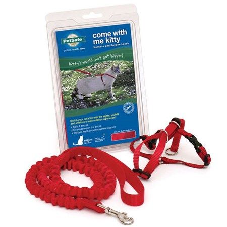 PetSafe Come With Me Kitty MEDIUM Harness And Bungee Leash
