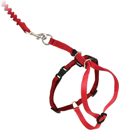 PetSafe Come With Me Kitty MEDIUM Harness And Bungee Leash