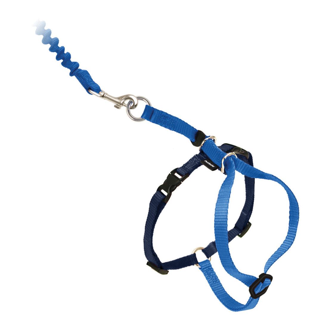 PetSafe Come With Me Kitty MEDIUM Harness And Bungee Leash