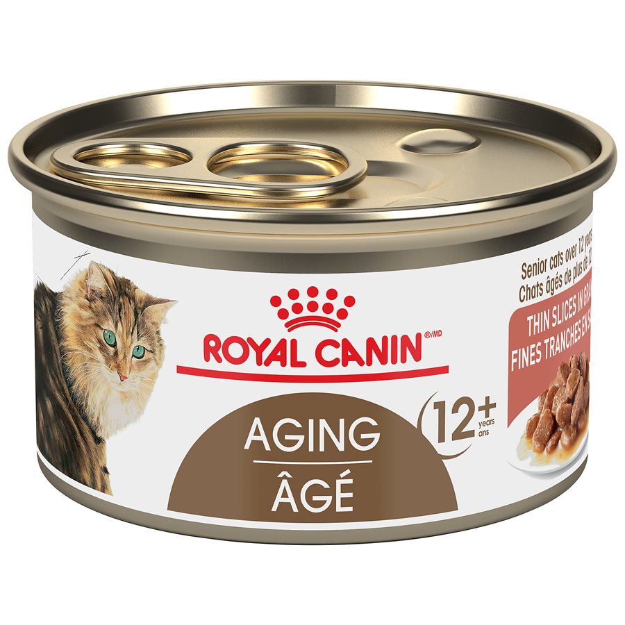 Best cat food for skinny cats sales