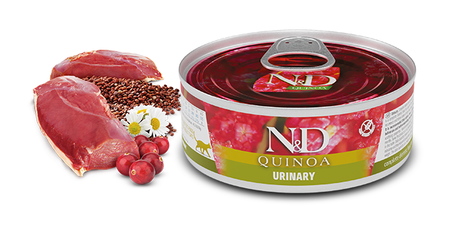 N&D Quinoa Urinary Recipe Wet Food 2.8oz