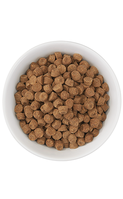 Tiki Cat® Born Carnivore™ Herring & Salmon Dry Food