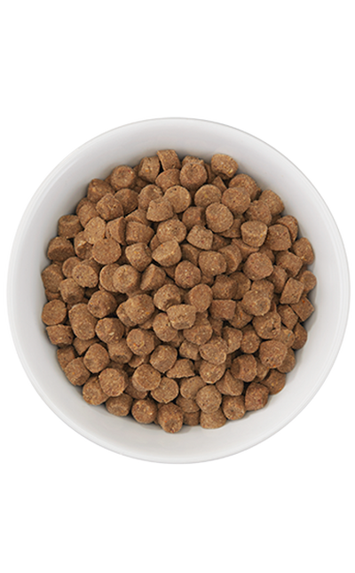 Tiki Cat® Born Carnivore™ Herring & Salmon Dry Food