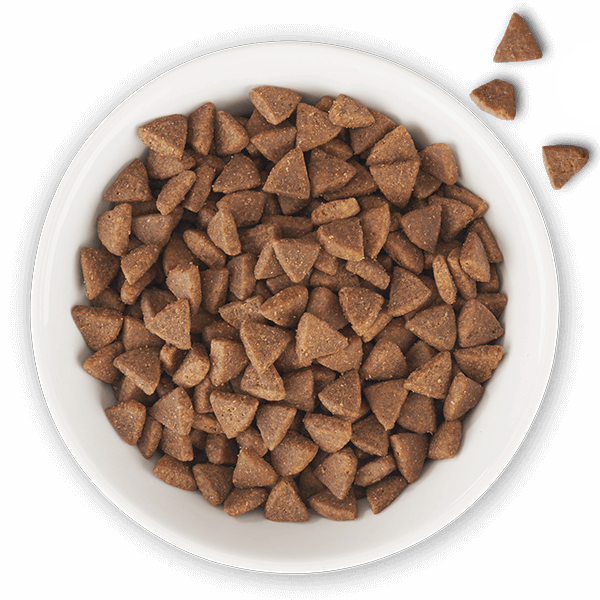 Tiki Cat® Born Carnivore™ Indoor Health: Trout and Menhaden Fish Meal Recipe Dry Food