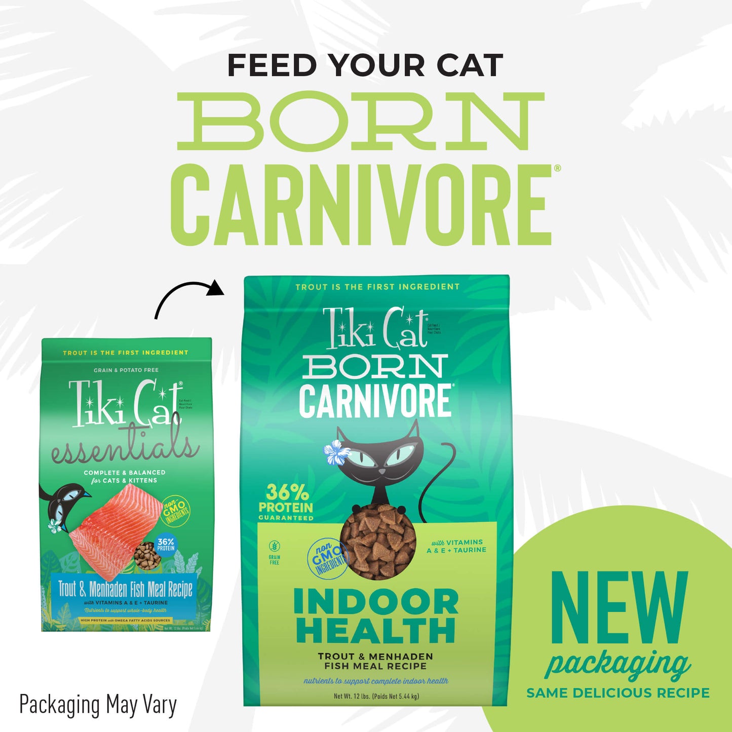 Tiki Cat® Born Carnivore™ Indoor Health: Trout and Menhaden Fish Meal Recipe Dry Food