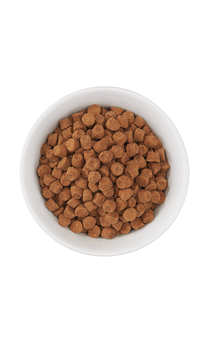 Tiki Cat® Born Carnivore™ Optimal Weight Turkey Recipe Dry Food